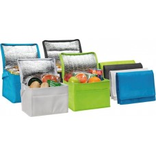 Six Can Cooler Bag (out of stock)