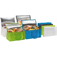 Twelve Can Cooler Bag (out of stock)